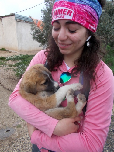 Amel with a puppy