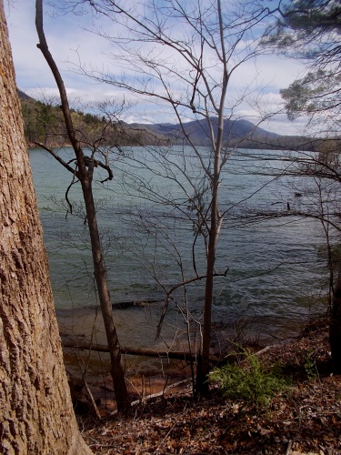 Watauga Lake