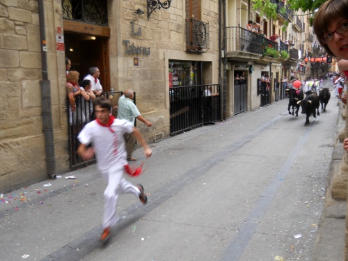 Running of the Bulls!!!