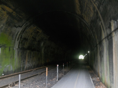 Brush Tunnel