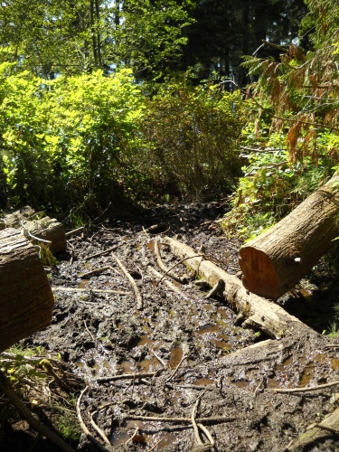 Muddy, muddy trail....