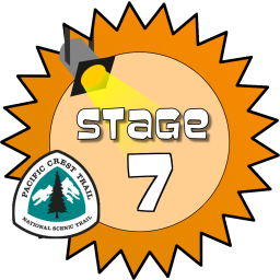 Stage 7 Award