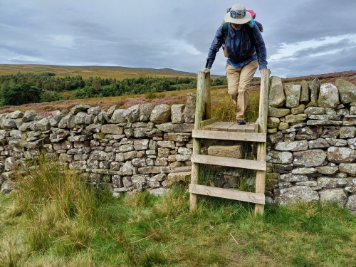 Ryan jumps a wall!