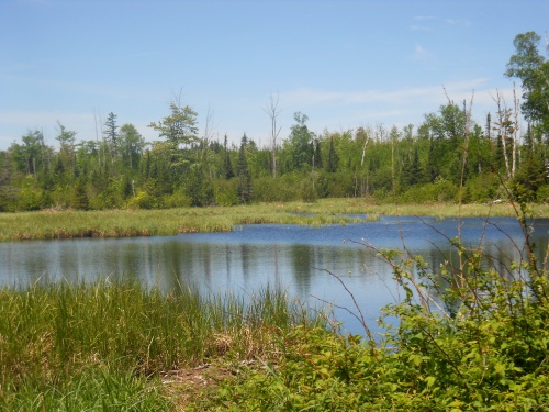 Heron Pond